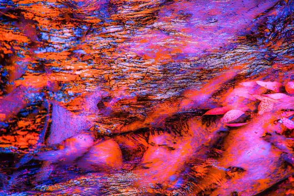 An abstract image of colorful water with vibrant orange, purple, and blue hues, featuring scattered pink leaves atop a textured surface.