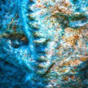 A group of individuals dressed in red and white outfits, standing together in a cheerful pose.